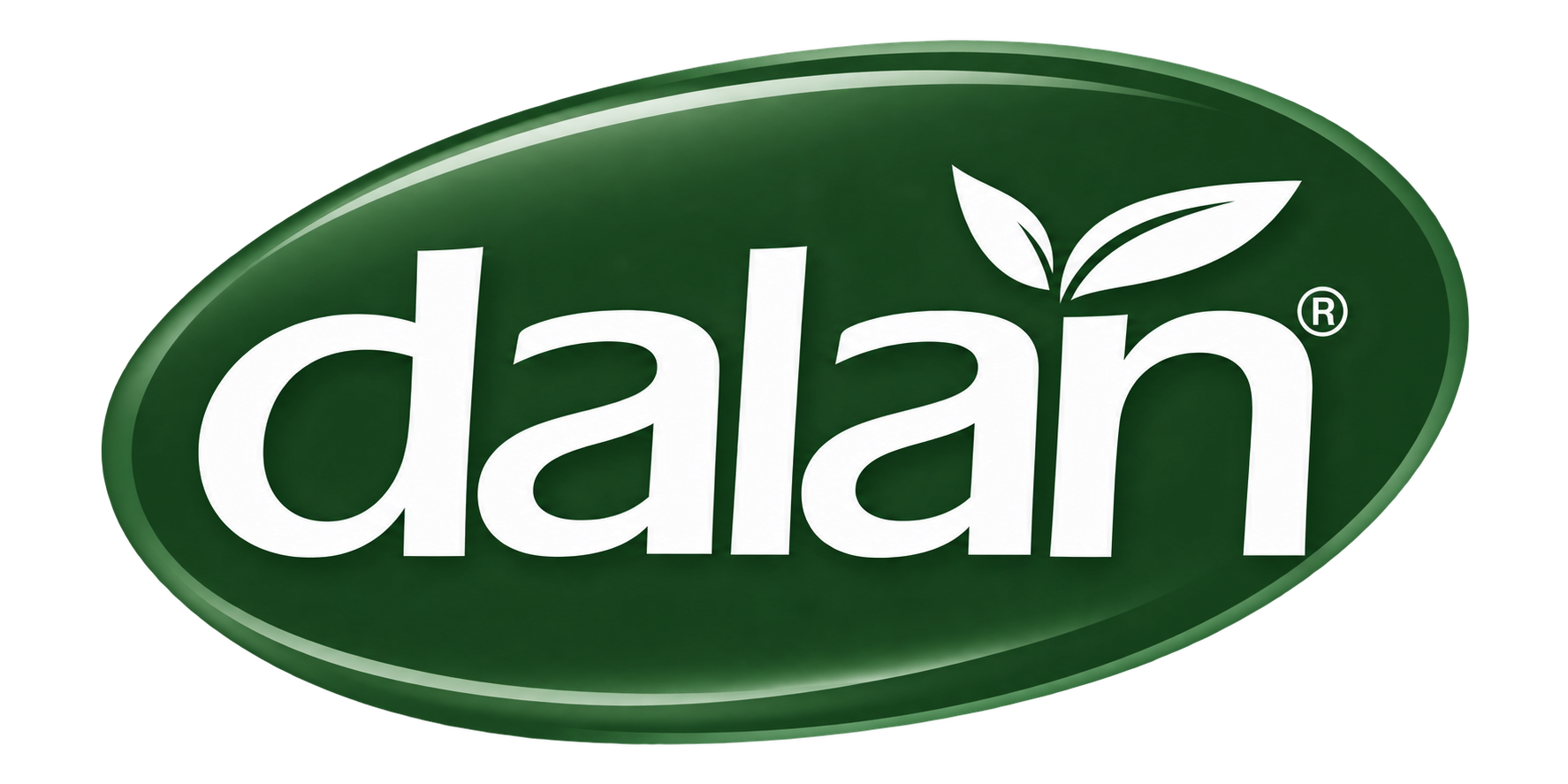دالان | dalan